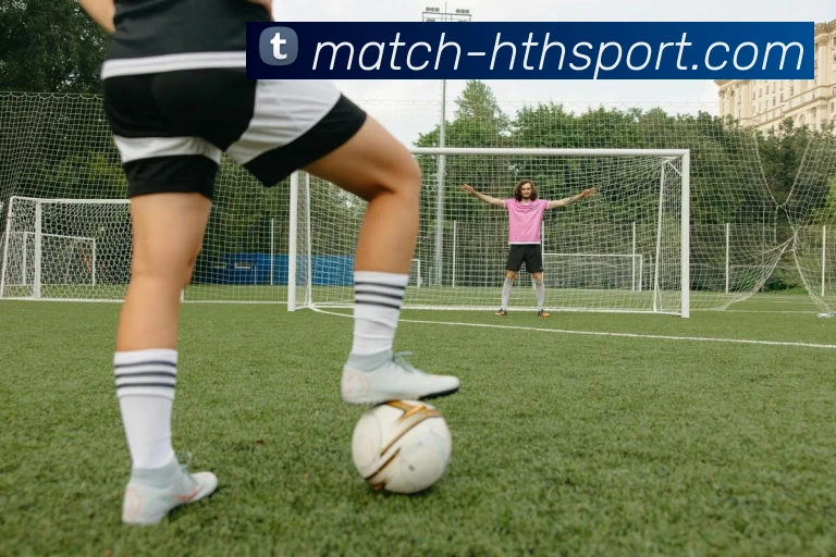 hth体育APP 封面图